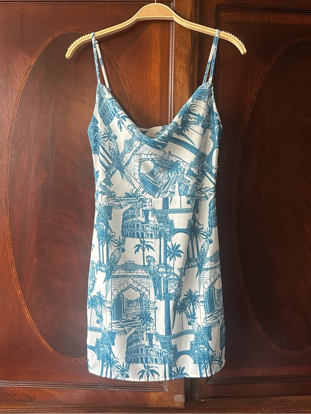 Blue and White Mini Scenic Print Dress